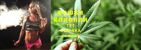 сатива Белоозёрский
