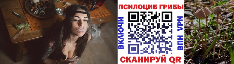 Псилоцибиновые грибы мухоморы  где купить наркоту  Тосно 